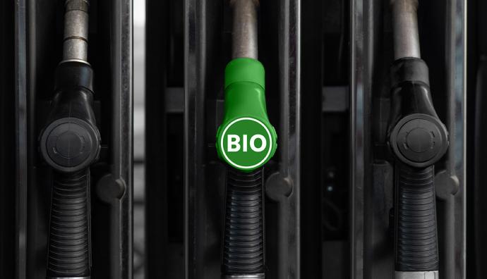 hvo biodiesel.jpg