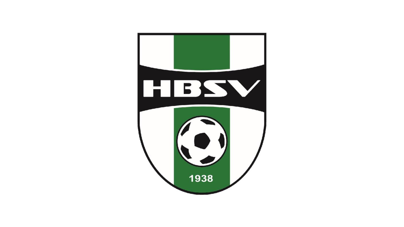 Logo HBSV | Seacon Blue | Seacon Logistics