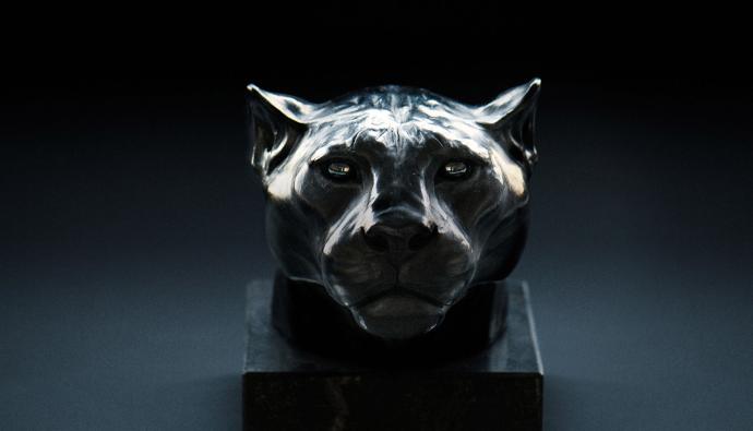Bild Kopf des Jaguars | Black Jaguar | Seacon Blue | Seacon Logistics